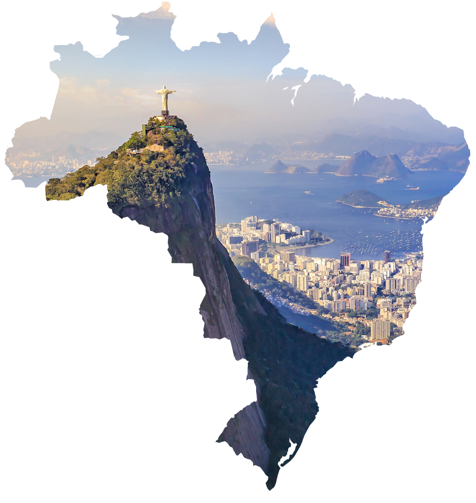 Neuroscience20 Brazil 2024 Society for Brain Mapping and Therapeutics