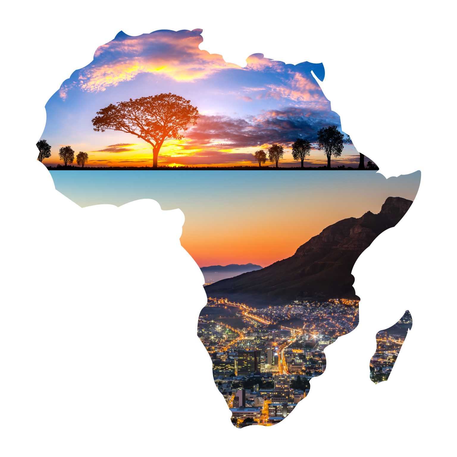 Neuroscience20 South Africa 2025 Photo Gallery Society for Brain Mapping and Therapeutics