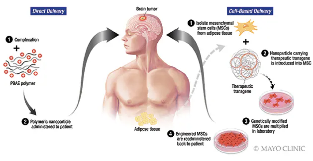 Case Studies: Successful Applications in Neurosurgery – Society for ...