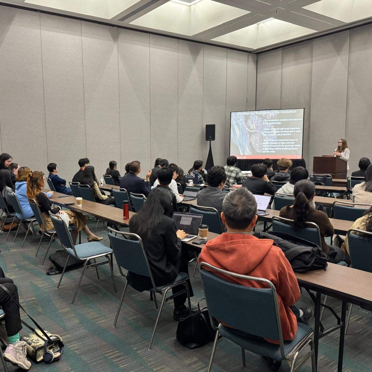 SBMT neuroscience congress attendees networking