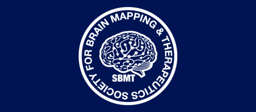 Brainmapping Logo 169